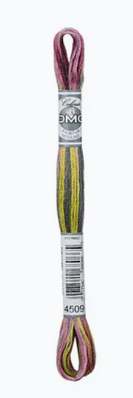 mouliné coloris 4509 DMC